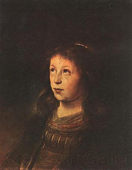 Jan lievens Portrait of a Girl Norge oil painting art